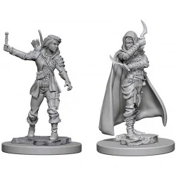 Pathfinder Battles Deep Cuts Unpainted Miniatures Wave 1 - Human Female Rogue,RPG (D&D и др.) / D&D Миниатюри