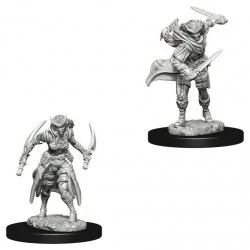 Dungeons & Dragons Nolzur`s Marvelous Unpainted Miniatures: Wave 7 Tiefling Female Rogue,RPG (D&D и др.) / D&D Миниатюри