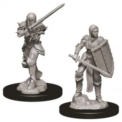 Dungeons & Dragons Nolzur`s Marvelous Miniatures: Wave 9 Female Human Fighter,RPG (D&D и др.) / D&D Миниатюри