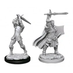 Dungeons & Dragons Nolzur`s Marvelous Unpainted Miniatures: Wave 12 Male Human Paladin,RPG (D&D и др.) / D&D Миниатюри