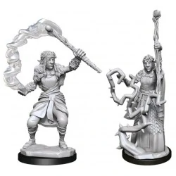 Dungeons & Dragons Nolzur`s Marvelous Miniatures: Wave 13 Female Firbolg Druid,RPG (D&D и др.) / D&D Миниатюри