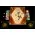 War Chest (2018) - настолна игра,AEG7035