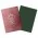Dragon Shield Standard size License Sleeves - Magic: The Gathering Guildpact Series - Gruul Clans - Matte Dual Art Sleeves 3