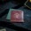 Dragon Shield Standard size License Sleeves - Magic: The Gathering Guildpact Series - Gruul Clans - Matte Dual Art Sleeves 1
