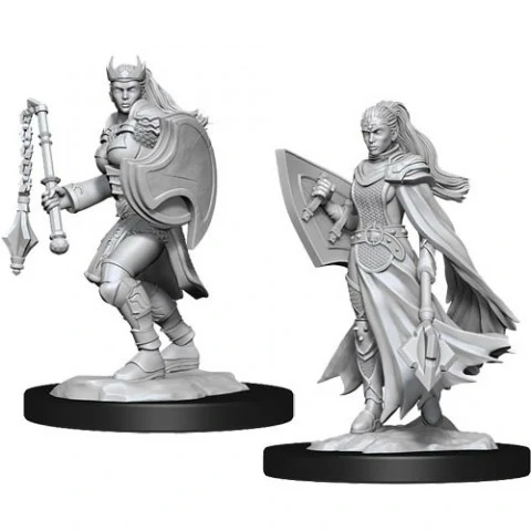 Dungeons & Dragons Nolzur`s Marvelous Miniatures: Wave 14 Female Kalashtar Cleric,RPG (D&D и др.) / D&D Миниатюри
