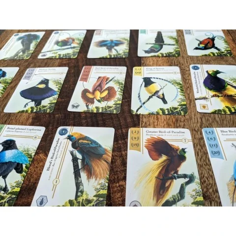 Birdwatcher (2022) - настолна игра,RGS02326