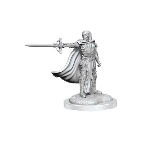 Dungeons & Dragons Nolzur's Marvelous Unpainted Miniatures Wave 20: Death Knights,RPG (D&D и др.) / D&D Миниатюри