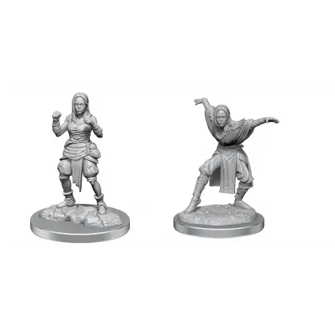Pathfinder Deep Cuts Unpainted Miniatures Wave 21: Half-Elf Monk Female,RPG (D&D и др.) / D&D Миниатюри