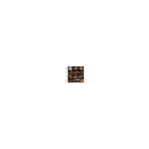 The Red Dragon Inn (2007) - настолна игра с карти,SFG004
